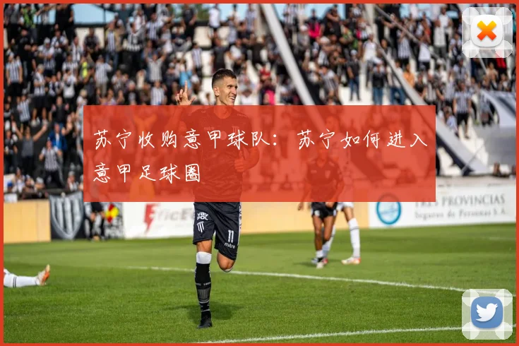 苏宁收购意甲球队:苏宁如何进入意甲足球圈